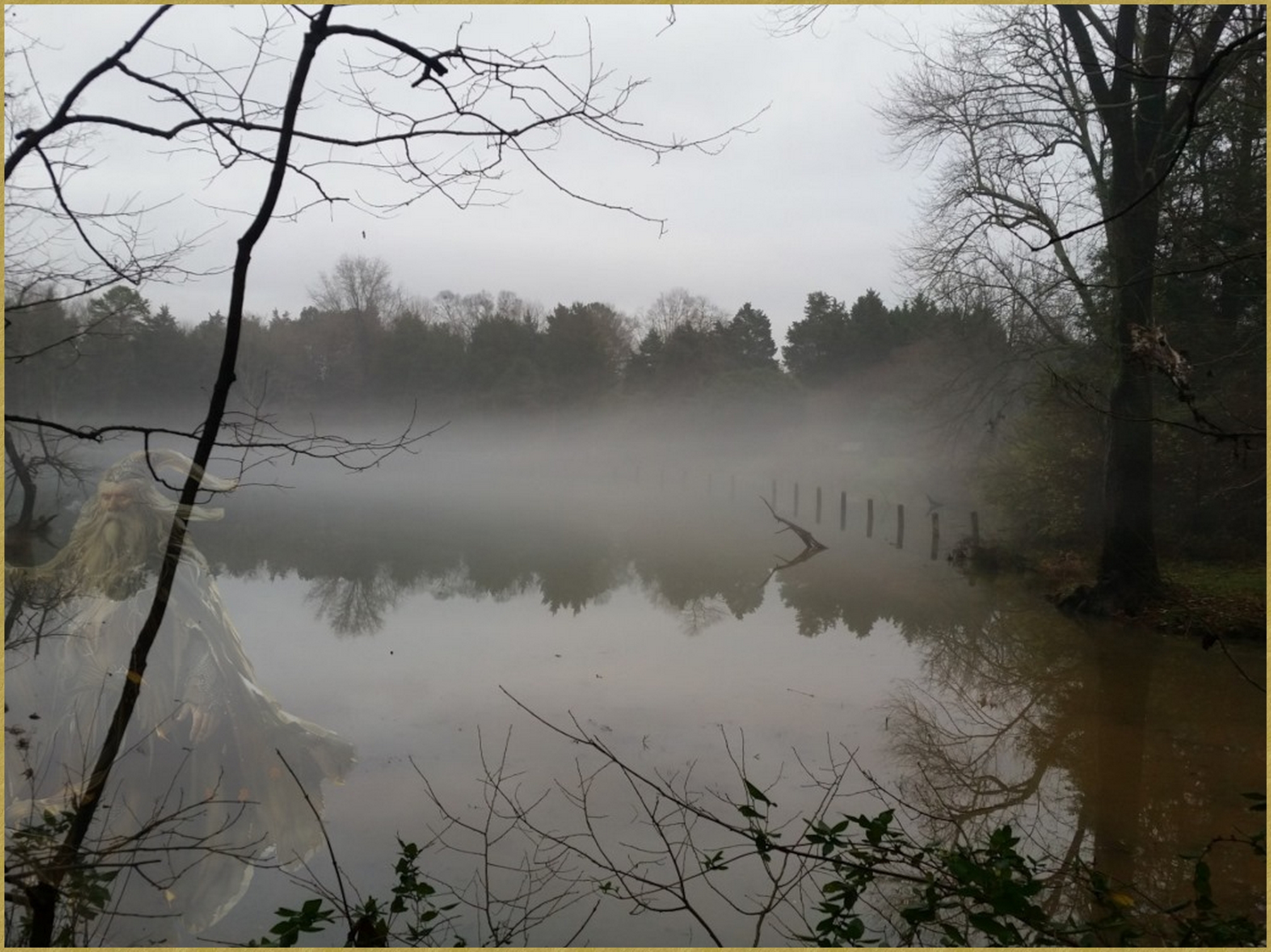 Dangers des Marais - 